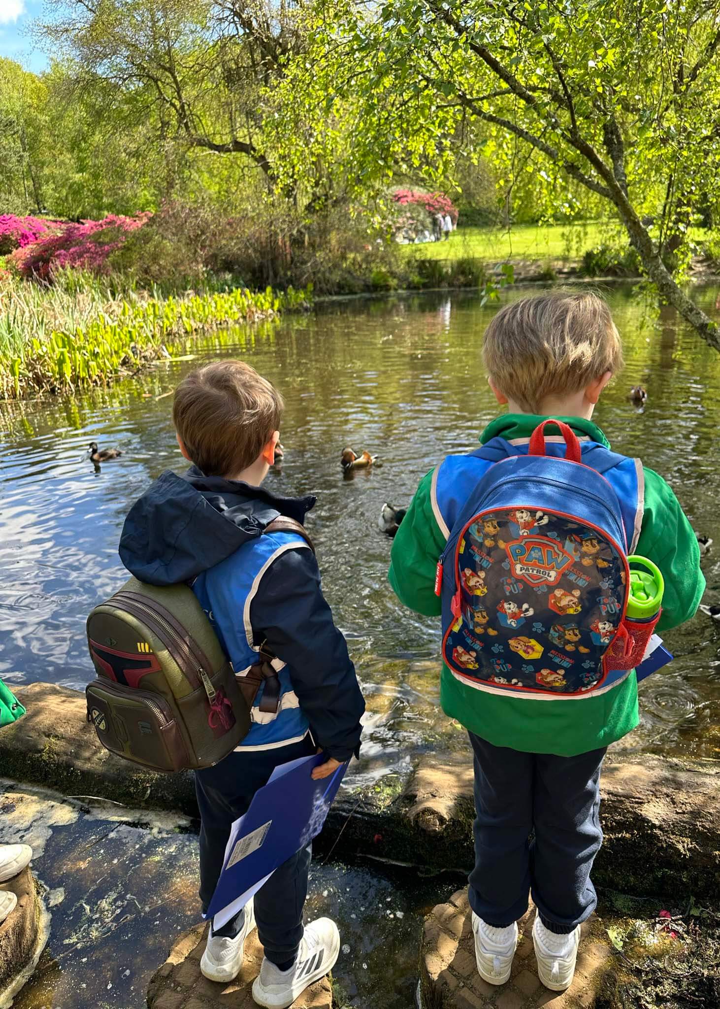 Kindergarten pupil looking at the ducks in the lake | Ibstock Place School, a private school near Richmond, Barnes, Putney, Kingston, and Wandsworth.
