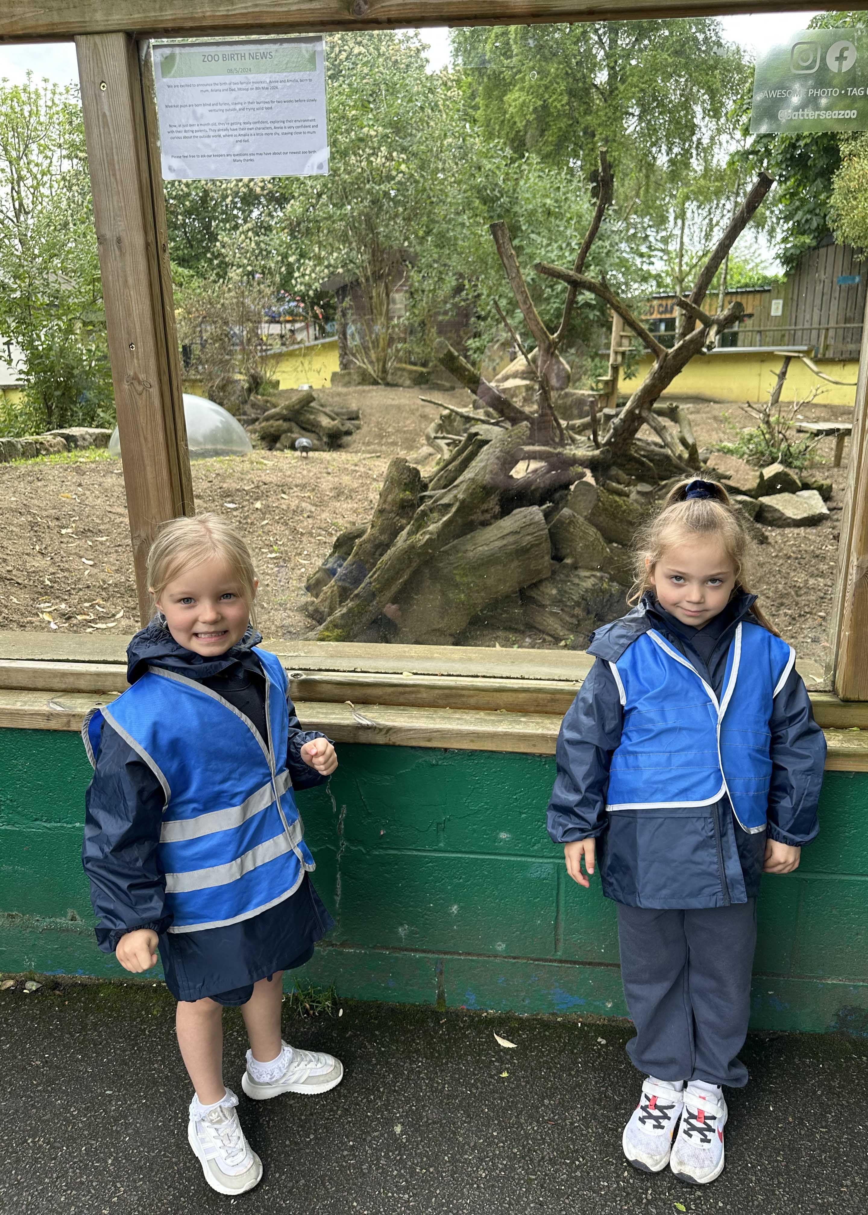 Kindergarten pupil looking at the animals at Battersea Park Zoo |  Ibstock Place School, a private school near Richmond, Barnes, Putney, Kingston, and Wandsworth on an overseas trip. 