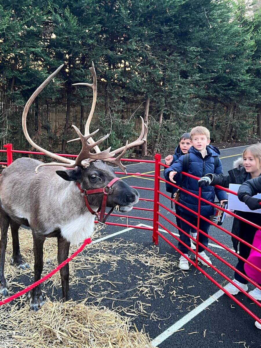 Prep Pupils visit from Santa and reindeer